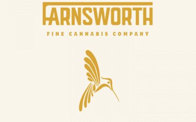 FARNSWORTH POP UP | 4PM-7PM |