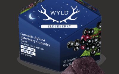 2:1 Elderberry Gummies | 10ct | Wyld