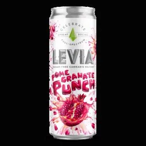 Celebrate Pomegranate Punch Seltzer | 5mg | Levia