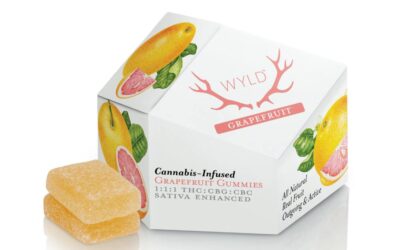 1:1:1 Grapefruit Gummies | 10ct | Wyld