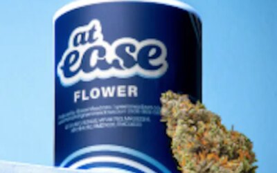 British Bake Off Flower | 3.5g | At Ease