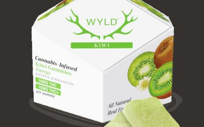 1:1 Kiwi Gummies | 10ct | Wyld