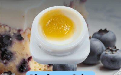 Blueberry Cake Wax | 1g | Glazed