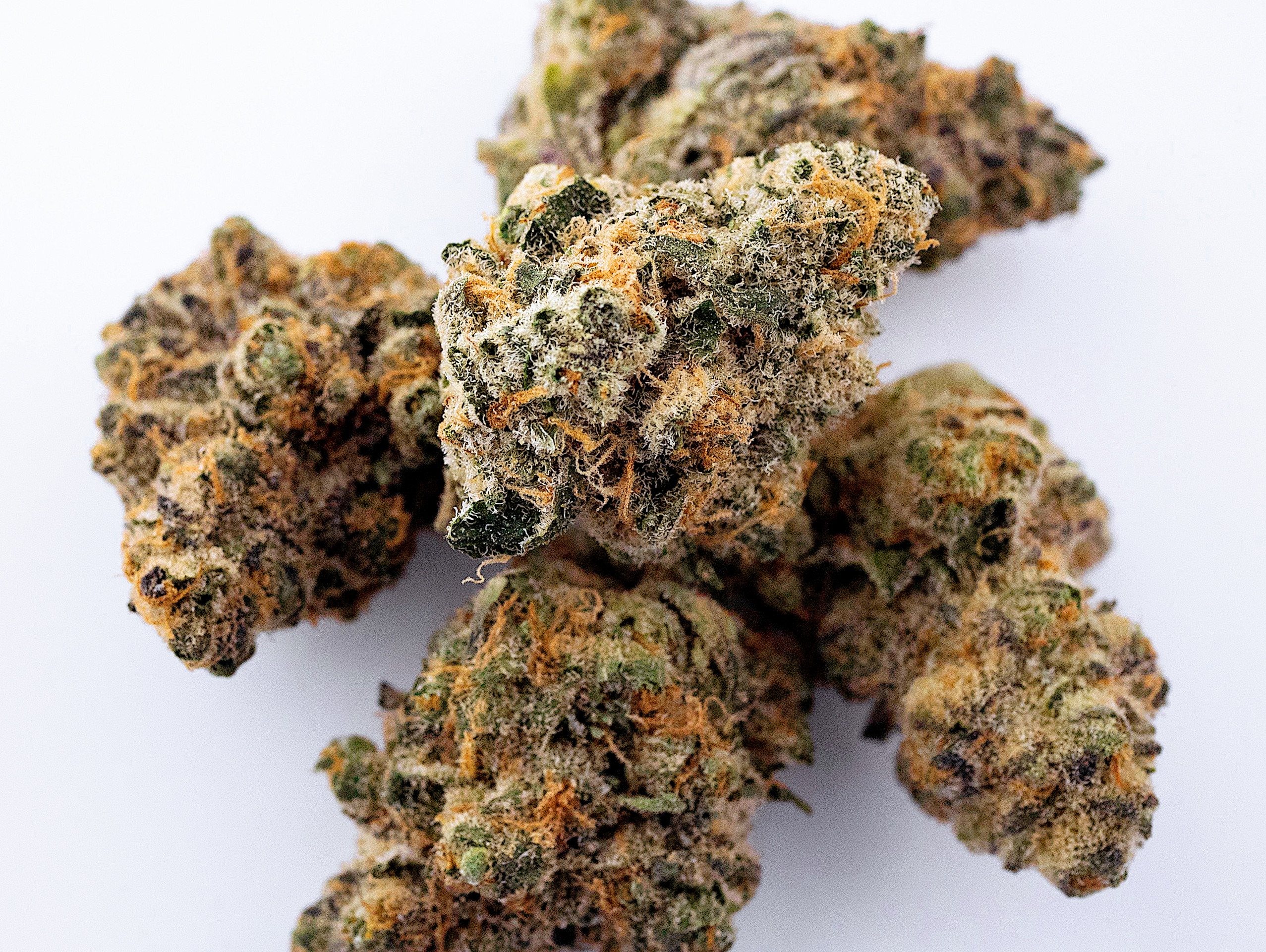 Tropic Truffle Flower | 3.5g | SEED