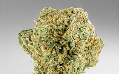 Quattro Kush Flower | 3.5g | Smyth Cannabis
