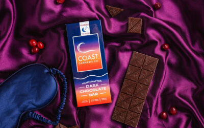 1:1:1 Dark Chocolate Cranberry CBN Bar | 20ct | Coast Cannabis