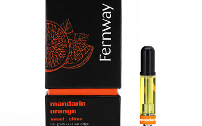 Mandarin Orange Cartridge | 1g | Fernway
