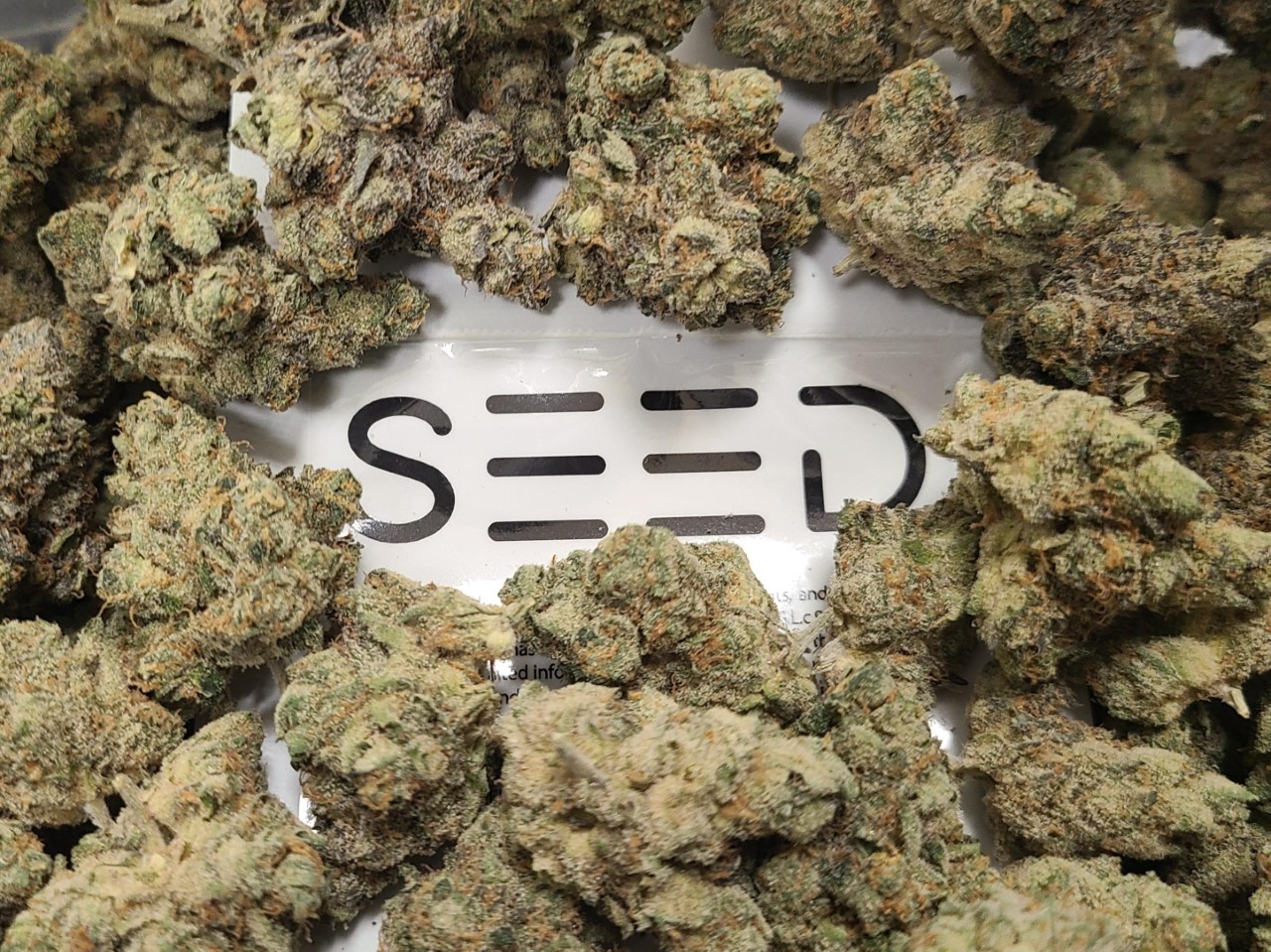 Wedding Cake x Black Widow Flower | 3.5g | SEED