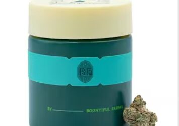 Runtz Banger Flower | 3.5g | Bountiful Farms
