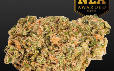 D9:CBD Sour Tsunami Smalls | 3.5g | Northeast Alternatives Awarded