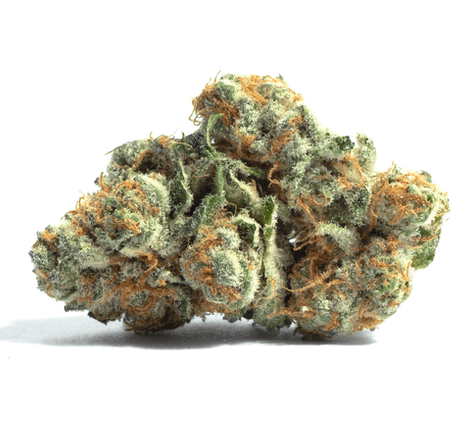 Lemon Banana Sherbet Flower | 3.5g | Rhythm