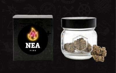 Super Boof Flower | 3.5g | NEA Fire