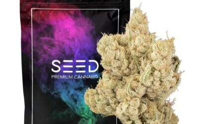 Meow Smalls | 14g | SEED