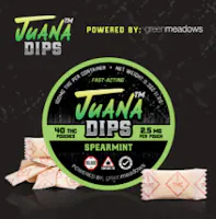 Spearmint THC Pouches | 40ct | JuanaDips