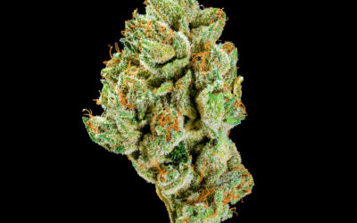 Sour Power OG Flower | 3.5g | Bountiful Farms