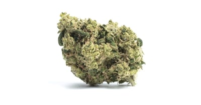 Super Pineapple Chunk Flower | 3.5g | Botanist