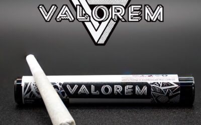 Moroccan Peaches Pre- Roll | 1g | Valorem