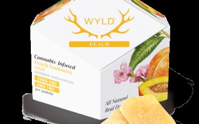 2:1 Peach Gummies | 10ct | Wyld