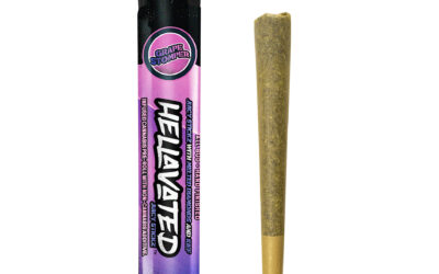 Grape Stomper Infused Preroll | .75g | Hellavated
