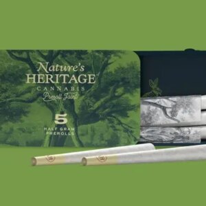 Larry Bird Mints Pre-Roll 5pk | 2.5g | Nature's Heritage