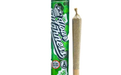 Skunkset Preroll | 1g | Your Highness