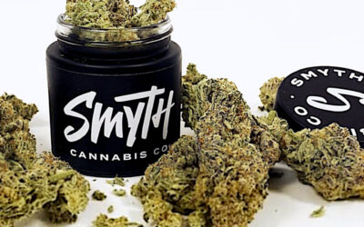 Pinky’s Advice Flower | 3.5g | Smyth Cannabis