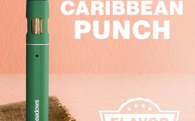 Caribbean Punch Pen | 1g | The Tank
