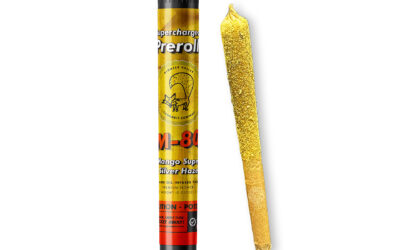 M-80 Mango Super Silver Haze Infused Preroll | 1g | Pioneer Valley