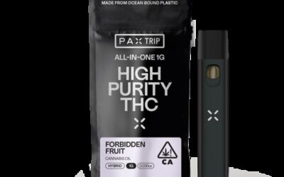 Pineapple Whip Pod | 1g | PAX