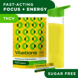 Lemon Lime Drink Mix | 10pk | Vibations