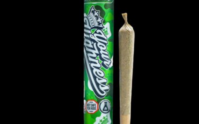 Crunch Berriez Preroll | 1g | Your Highness