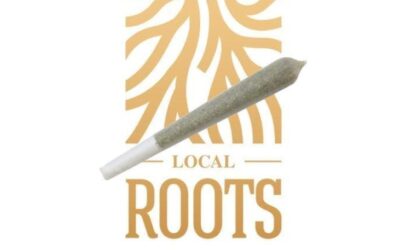 Ice Cream Cake Pre-Roll | 1g | Local Roots