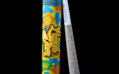 Lemon Jam Preroll | 1g | Your Highness
