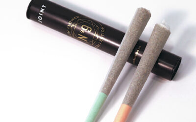 Raspberry Parfait Pre-Roll 2pk | 1g | No.9 Collection