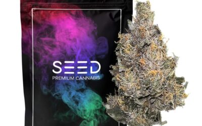 Sour Power OG Smalls | 14g | SEED