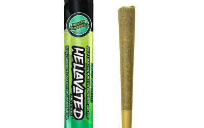 Melon Sherbert  Infused Preroll | .75g | Hellavated