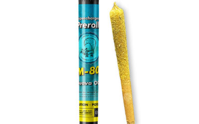 M-80 Guava OG Infused Preroll | 1g | Pioneer Valley