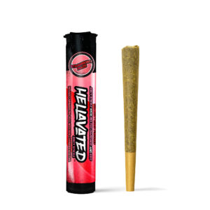 Strawberry Haze Infused Preroll | .75g | Hellavated