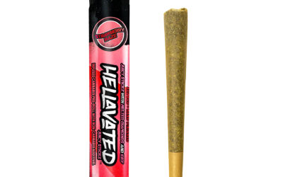 Strawberry Haze Infused Preroll | .75g | Hellavated
