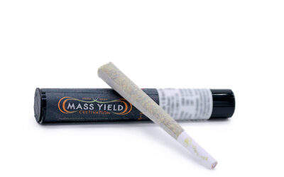 Rasta Pie Pre-Roll | 1g | Mass Yield