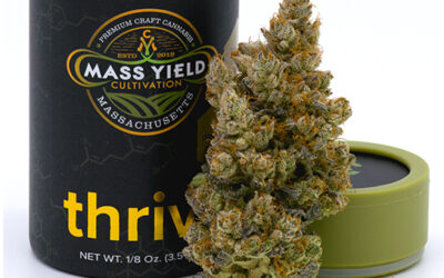 Jelly Rancher Flower | 3.5g | Mass Yield