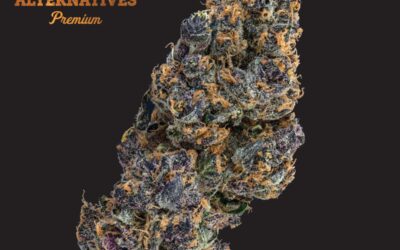 Tropsanto #5 Flower | 3.5g | NEA Fire