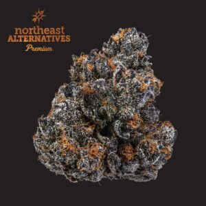 Sherb Cream Pie Flower | 3.5g | NEA Premium