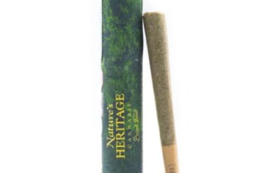 Government Oasis Pre-Roll | 1g | Nature’s Heritage