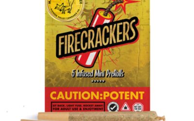 Firecrackers Peach Rings Infused Preroll 5pk | 3.5g | Pioneer Valley