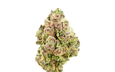 Slurricane Flower | 3.5g | Smyth Cannabis