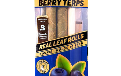 Berry Terps Cones | 2 Pack | King Palm