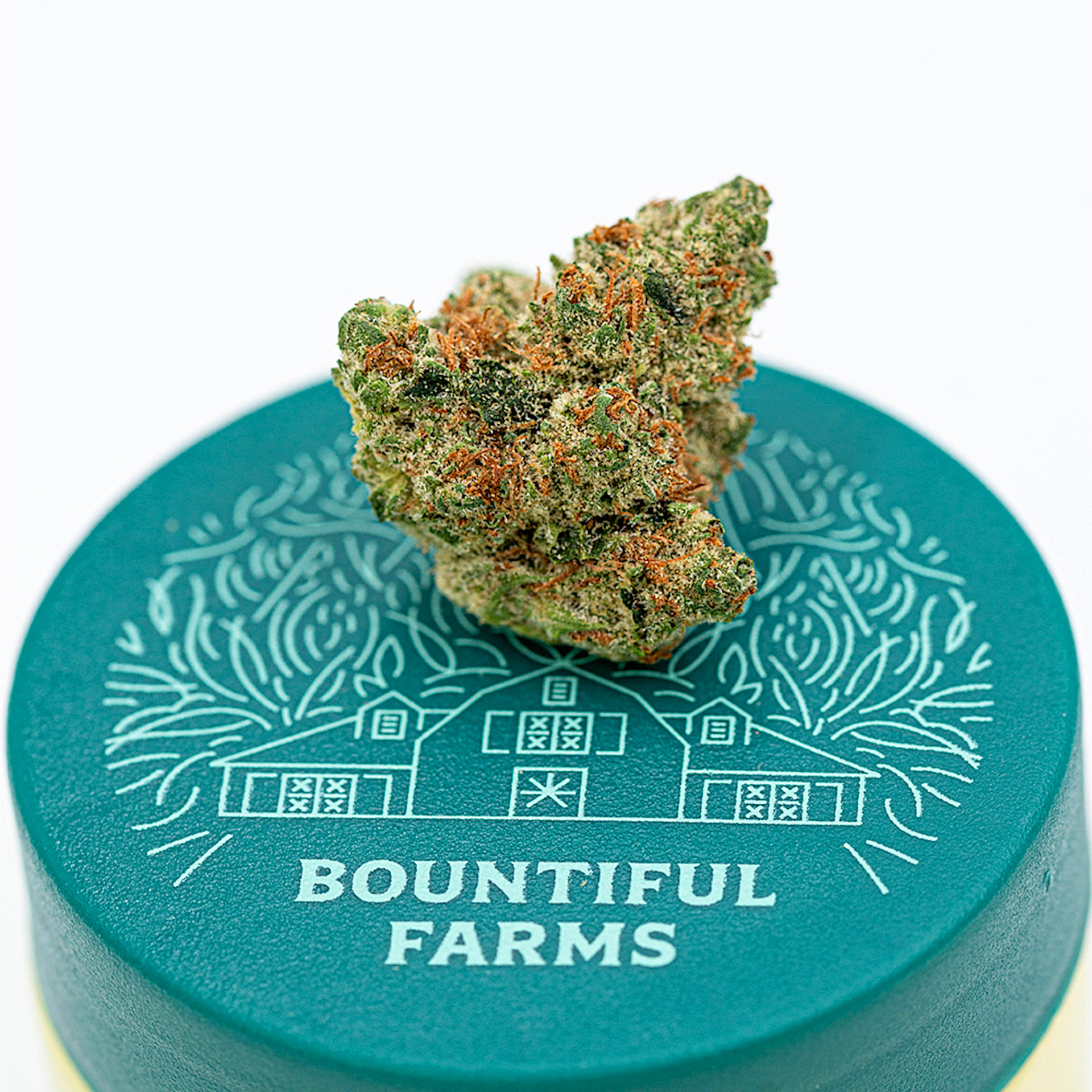 Rainbow Guava Flower | 3.5g | Bountiful Farms