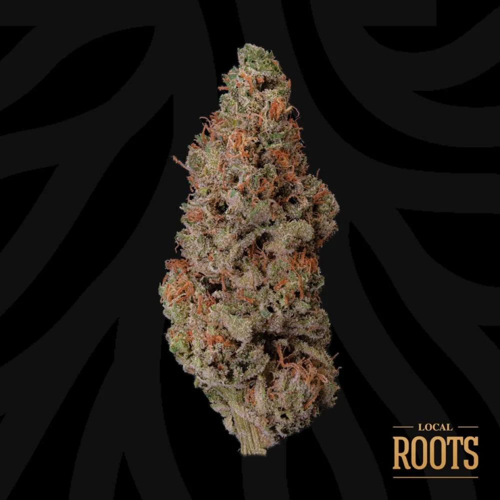 Bubba Cheese Flower | 3.5g | Local Roots