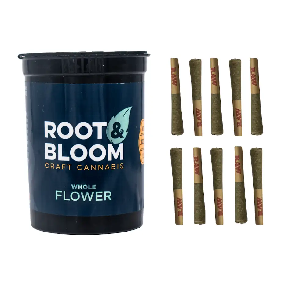 Lemonhead Delight Pre-Roll 10pk | 3.5g | Root & Bloom